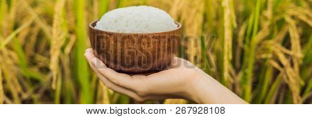 The Hand Holds A Cup Of Boiled Rice In A Wooden Cup, Against The Background Of A Ripe Rice Field Ban