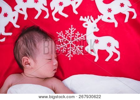 Newborn Baby Girl Sleeping With Deer