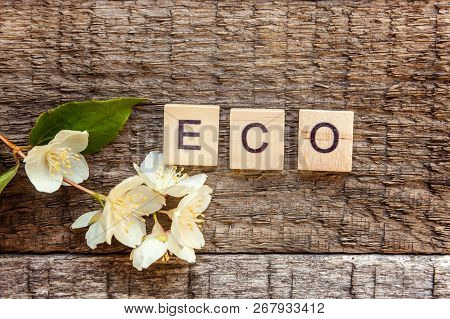 Inscription Eco Letters Word Jasmine Flower On Old Rustic Wooden Backdrop. Eco Village Abstract Envi