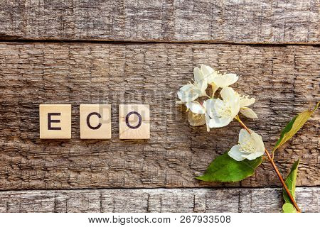 Inscription Eco Letters Word Jasmine Flower On Old Rustic Wooden Backdrop. Eco Village Abstract Envi