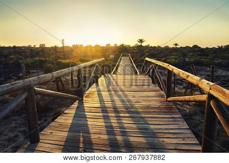 Wooden Foodway On Sand Dunes To The Park