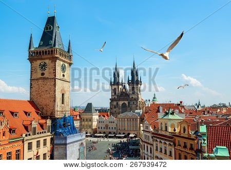 Gulls Over Prague Chimes And Tynsky Cathedral At Summer Day