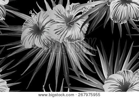 Black White Exotic Pattern. Monstera Leaves And Hibiscus Flowers In Summer Print.  Saturated Large F