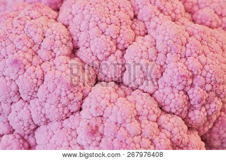 Macro Close Up Photo Of Purple Cauliflower As Picture Background