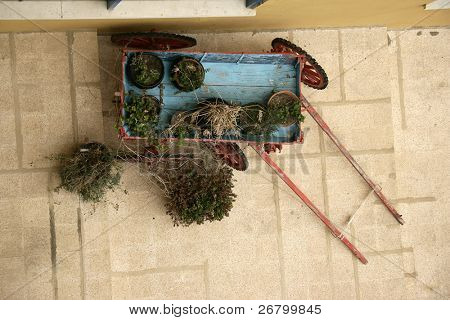uma visão elevada de flores em uma carruagem