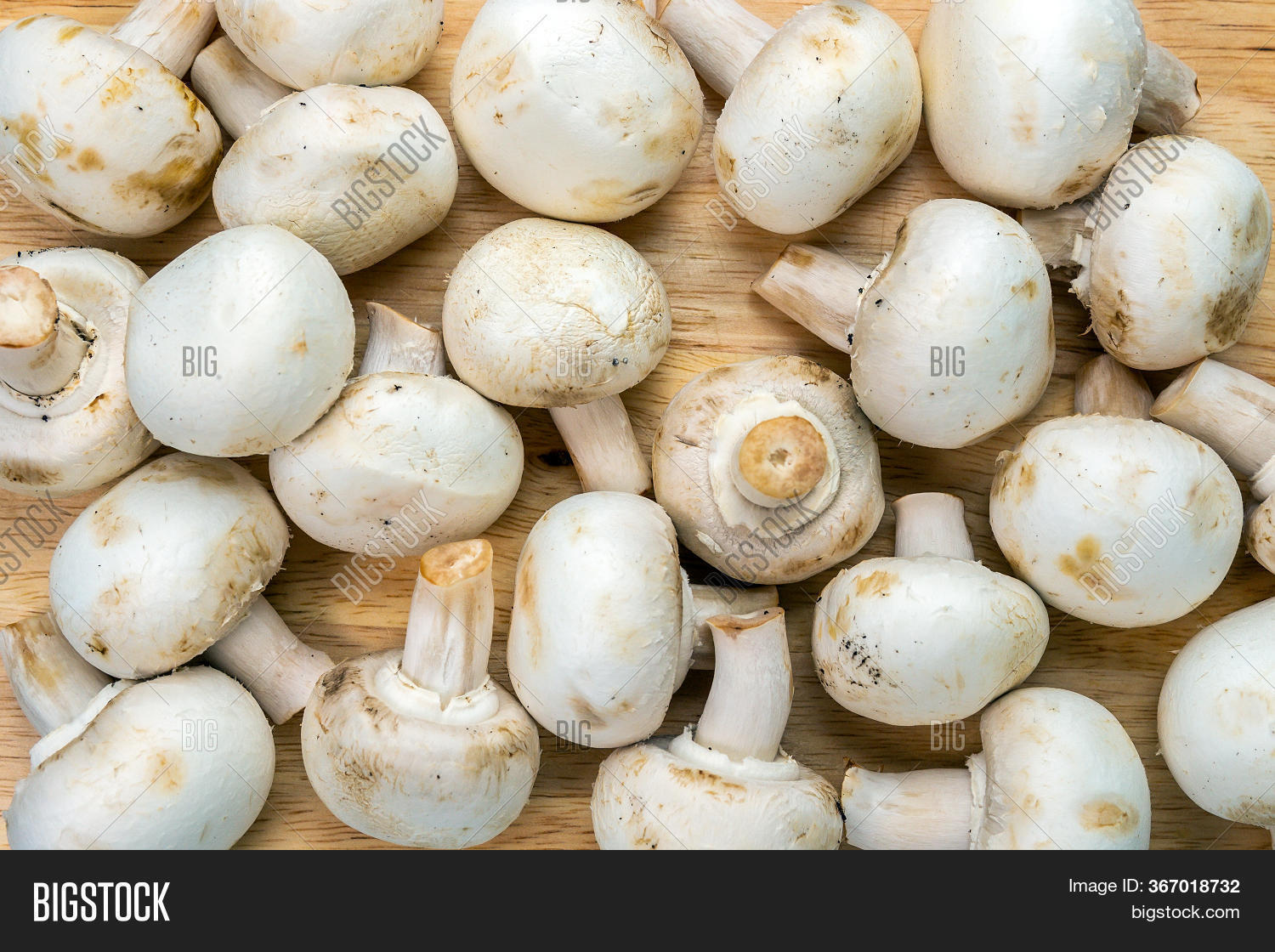 White Raw Mushrooms Image & Photo (Free Trial) Bigstock