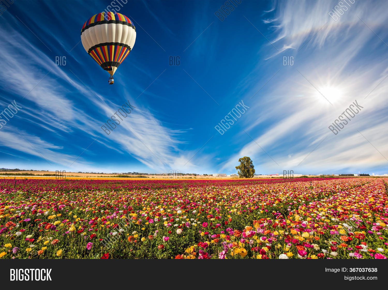 Spring Israel Spring Israel, Kibbutz Image & Photo (Free Trial) | Bigstock