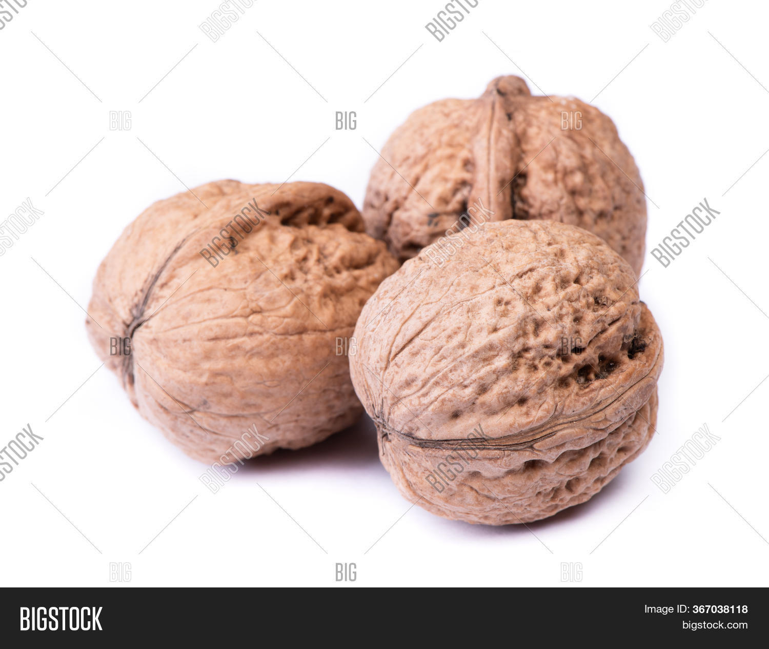 Few Big Walnuts Image & Photo (Free Trial) Bigstock