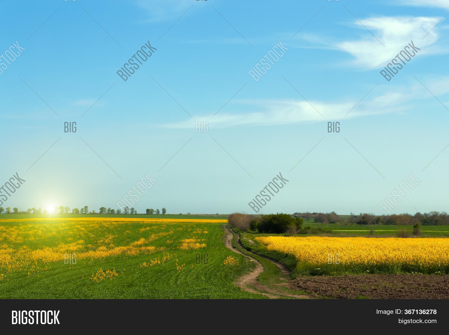 Bright Green Field Image & Photo (Free Trial) Bigstock