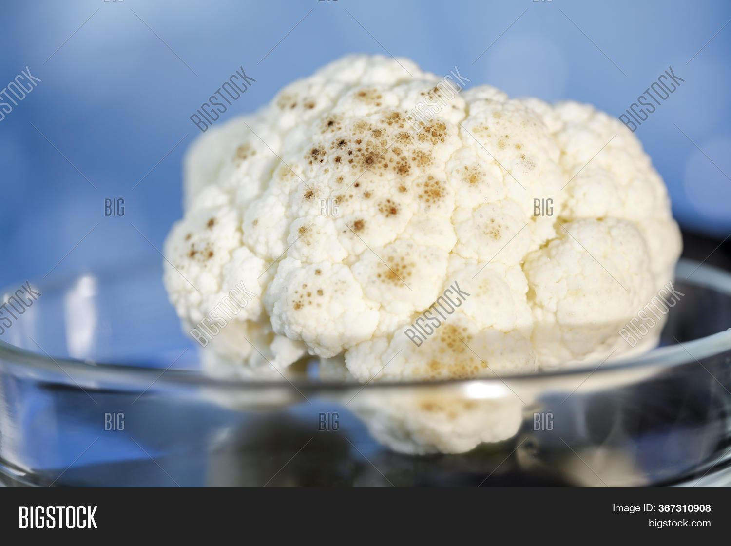 Mold On Cauliflower Image & Photo (Free Trial) Bigstock