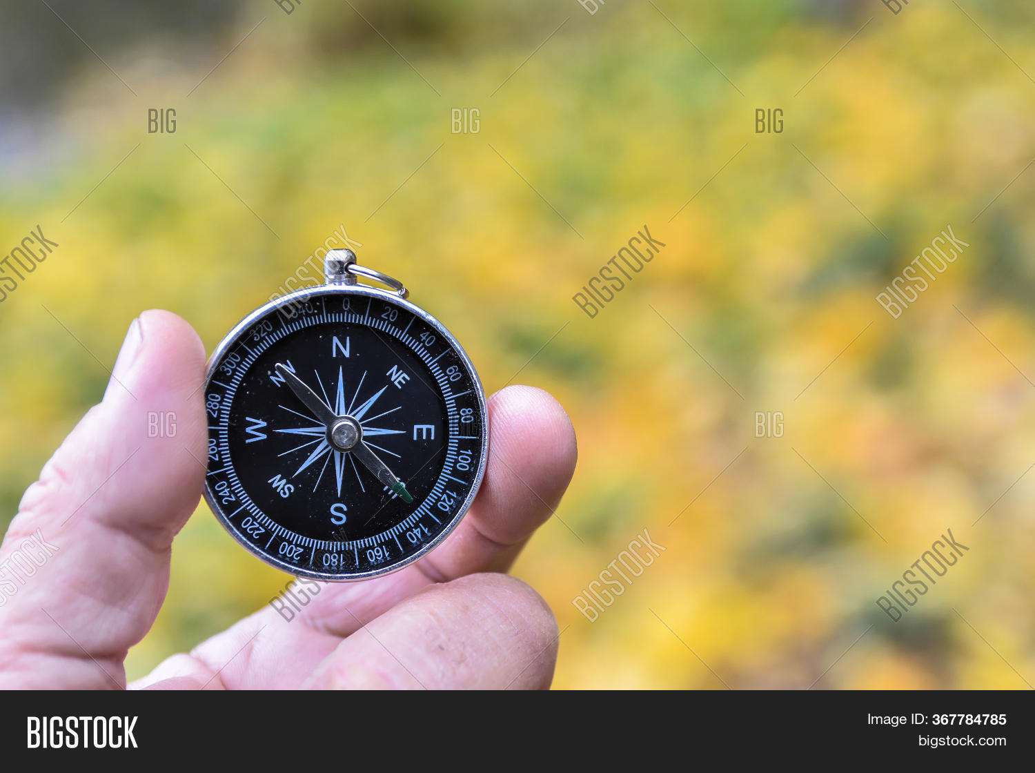 Compass Orientation. Image & Photo (Free Trial) Bigstock