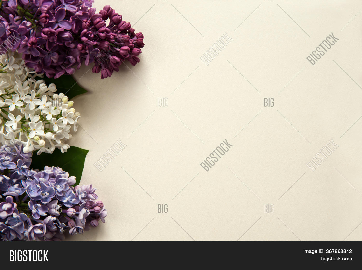 Flower Composition Image Photo Free Trial Bigstock