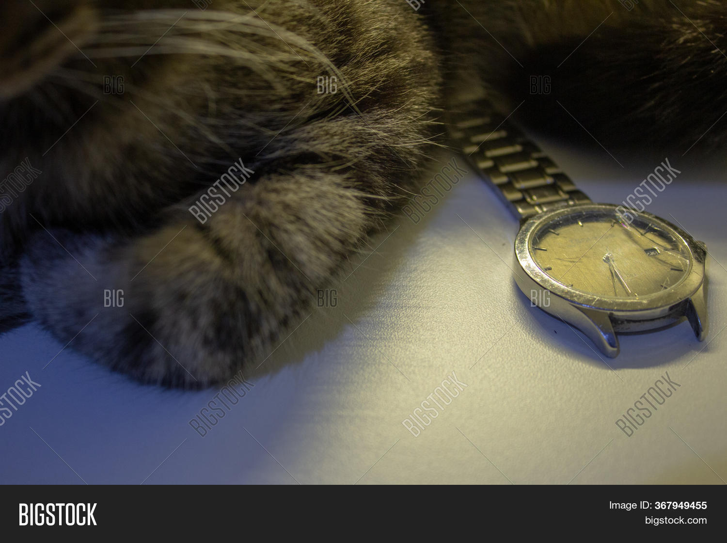 Broken Wrist Watch, Image & Photo (Free Trial) Bigstock