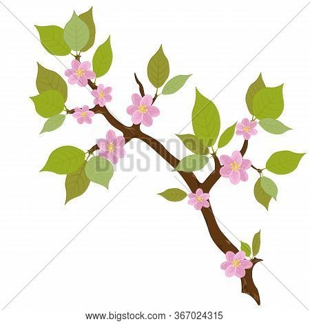 Tree Branch With Pink Delicate Flowers And Leaves