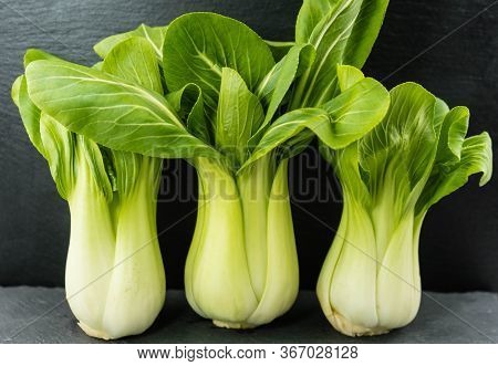 The Green Chinese Cabbage Pak Choi Brassica Rapa