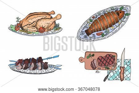 Various Meat Dishes Kebab Fish Chicken Vector Stock