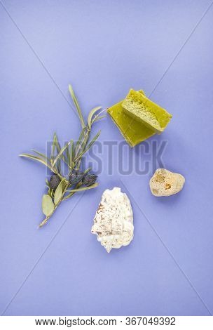 Flat Lay Of An Olive Branch, Handmade Olive Soap Bars And Sea Shells On Purple Background.