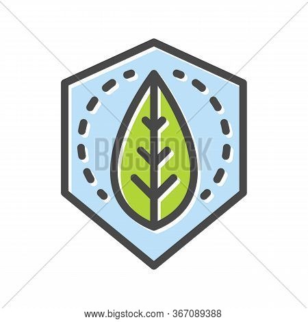 Plant Green Leaf In Blue Hexagon Thin Line Icon Isolated On White. Save World, Peace Pictogram. Ecol