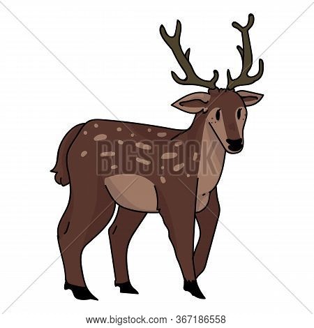 Cute Woodland Stag Deer Vector Illustration. Buck Deer With Antlers. Childlish Hand Drawn Doodle Sty