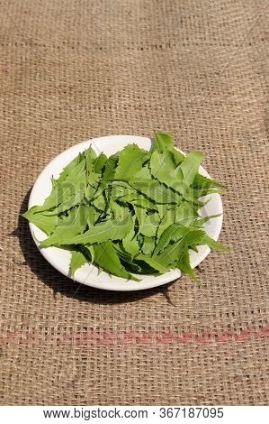 Neem Or Azadirachta Indica Leaves In A Plate On Burlap Background With Selective Focus