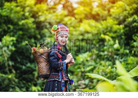 Hilltribes And Rambutans In The Harvest Season