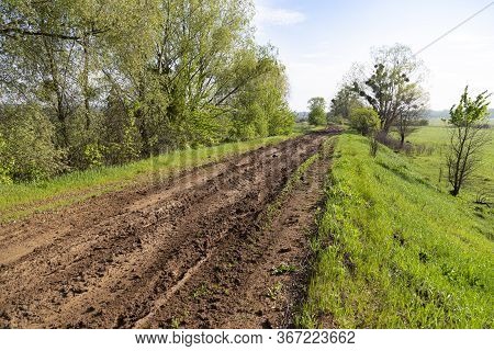 Landscape With Dirt Rural Road Among The Green Field. Summer Ukrainian Nature. Surroundings Of Opish