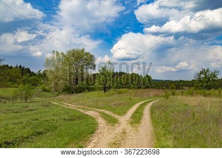 Landscape With Two Dirt Rural Roads Among The Green Field. Summer Ukrainian Nature. Surroundings Of 