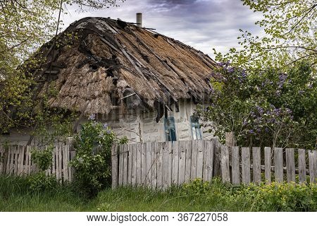 Old Vintage Rural House In Ukrainian Countryside Style. House With A Cattail Roof. The Roof Of The R