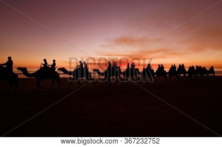 Western Australia - Camel ride at the sunset with silhouette of tourists on Cable Beach in Broome 
