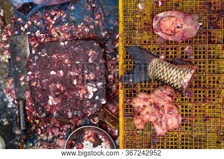 Top view on a fish fin on the fishermen working table