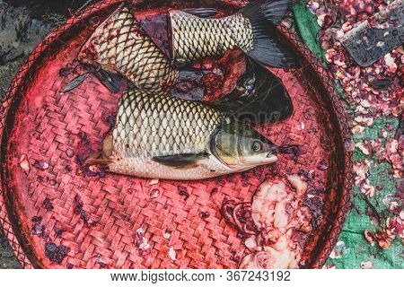Top view on a fish head on the fishermen working table