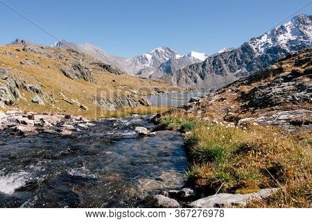 Rapid River In Autumn Mountains In The Valley Of River Akem On Backgroind Of Mountain Belukha. Altai