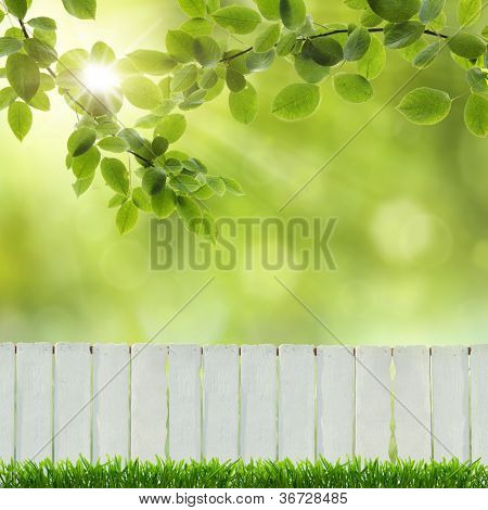 white fence and green grass