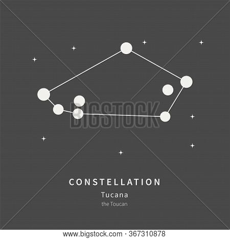 The Constellation Of Tucana. The Toucan - Linear Icon. Vector Illustration Of The Concept Of Astrono