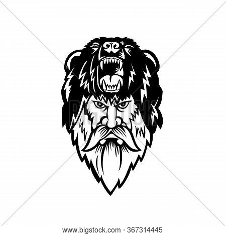Black And White Illustration Of Head Of A Berserker Or Bear Warrior Wearing Bear Skin Viewed From Fr