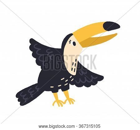 Cartoon Hand Drawn Tucan Waving Wings Vector Flat Illustration. Colorful Exotic Bird With Big Beak I