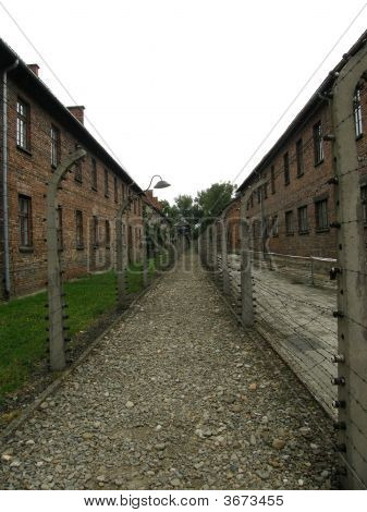 Auschwitz - pod obudowa zasilania
