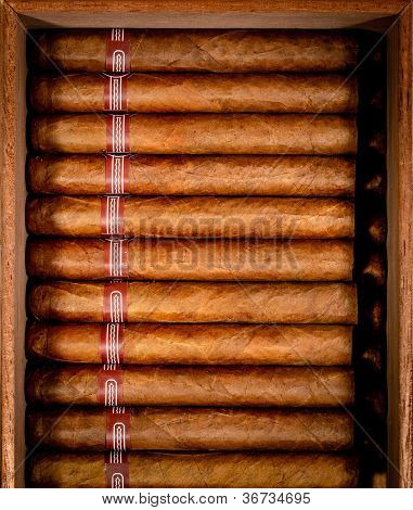 오픈 humidor 상자 시가의 까이 서