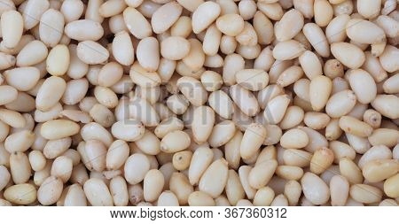 Many Cedar Nut  At Dry Sunny Summer Day