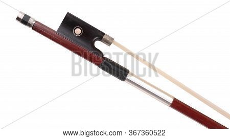 Violin Bow Isolated At Dry Sunny Summer Day