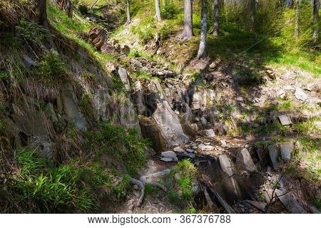 Spring Trekking Beskidy Rysianka Romanka