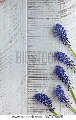 Beautiful Purple Flowers On White Wooden Background. The Concept Of A Greeting Card To A Woman, Nvit
