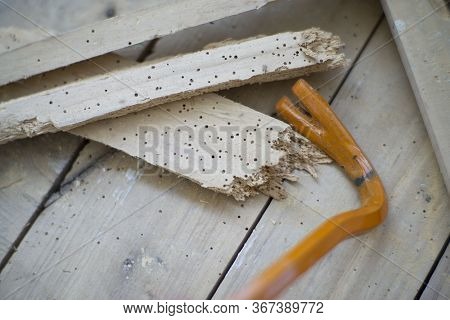 Crowbar On Demolished Wood Eaten By Woodworm