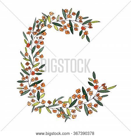 Letter Cof The English And Latin Floral Alphabet. Graphic On A White Background. Letter Of Sprigs Bl
