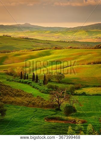 Amazing colorful sunset in Tuscany. Picturesque agrotourism and typical curved road with cypress, Crete Senesi rural landscape in Tuscany, Italy, Europe