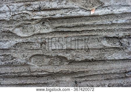 Boots And Bicycle Prints In The Mud