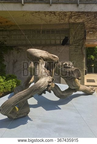 Sculpture Of Gray Driftwood With A Cat In The Background