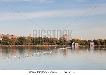 Jackie Onassis Reservoir.  The View Across The Jackie Onassis Reservoir In Central Park, New York Ci