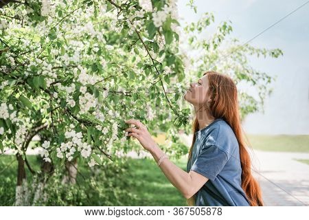 Young Red Haired Woman Smelling White Flowers. Long Ginger Hair. Beautiful Slim Woman With Very Long