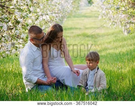 Family With A Child In Blooming Apple Trees In The Garden
